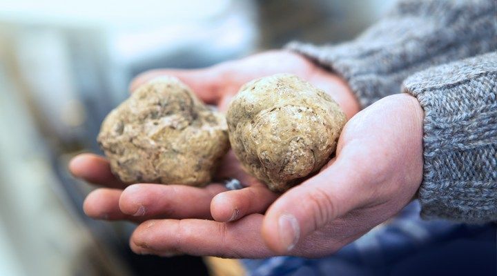 Pop-up Truffle Dinner