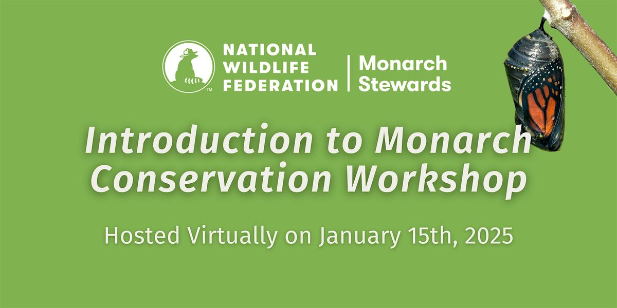 Introduction to Monarch Conservation Virtual Workshop