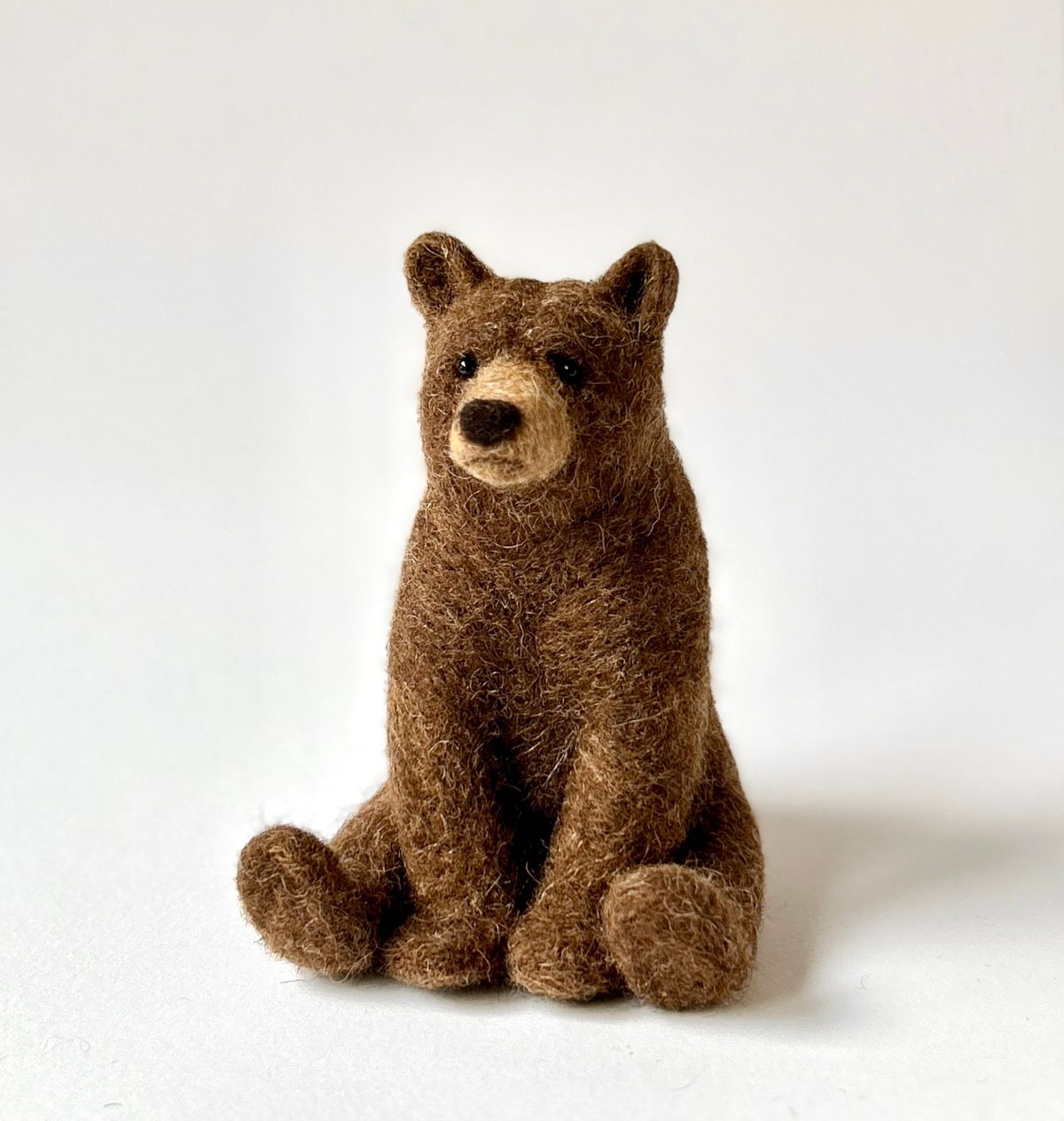 Needle Felted Brown Bear Workshop