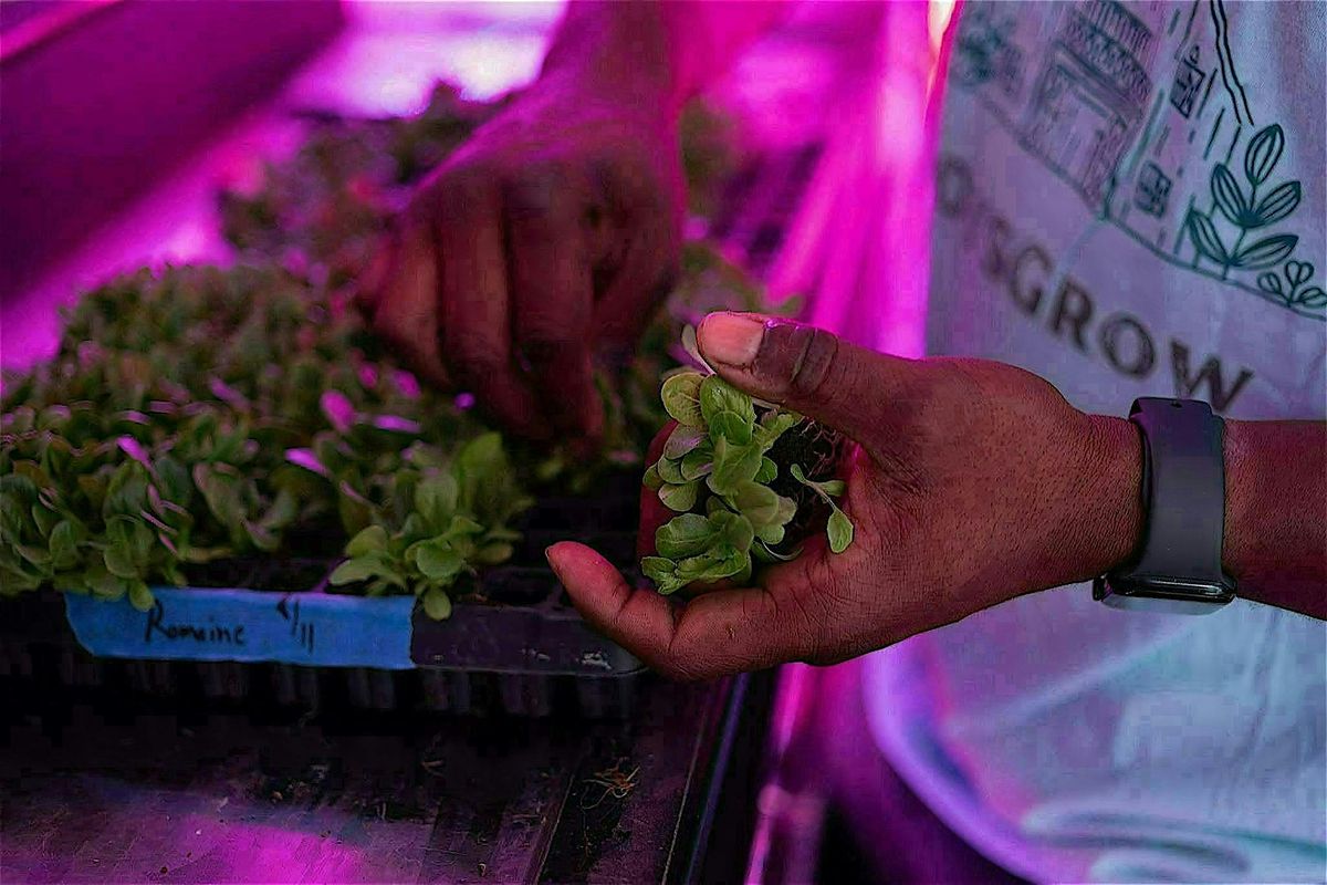 Hydroponics Workshop at BoysGrow