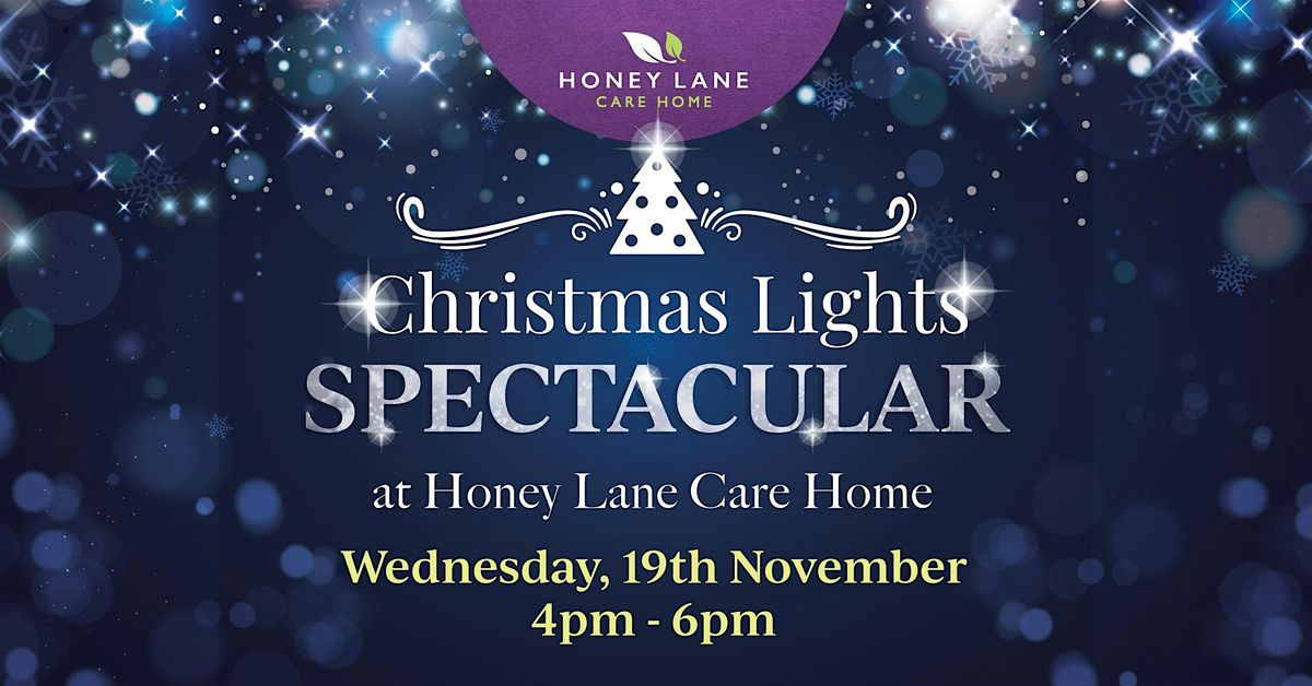 Christmas Lights Spectacular at Honey Lane