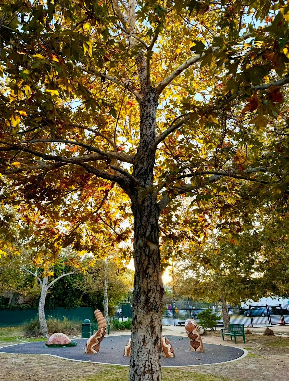 LA River Fall Colors Walk