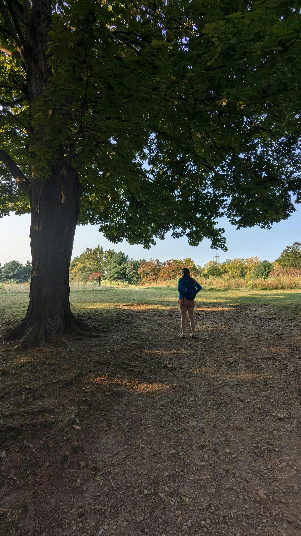 Grounding Through Change