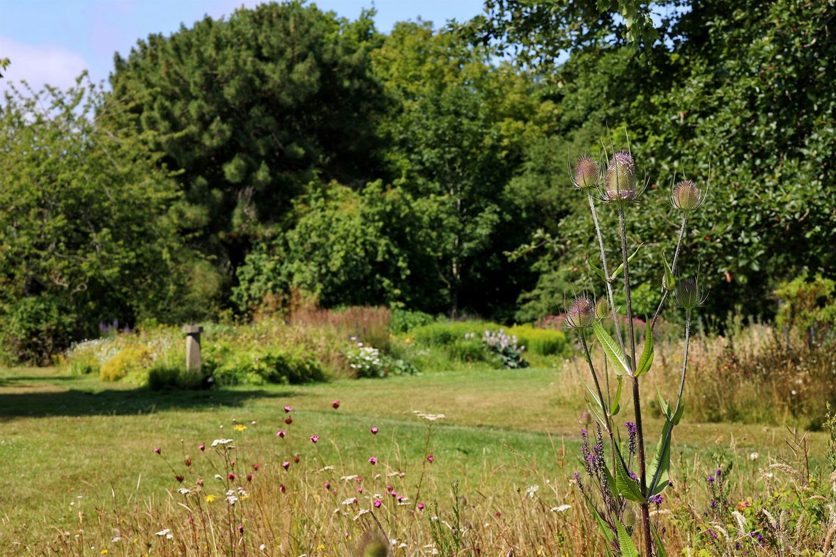 Artists in Conversation: Lauren Gault and Desiree Coral