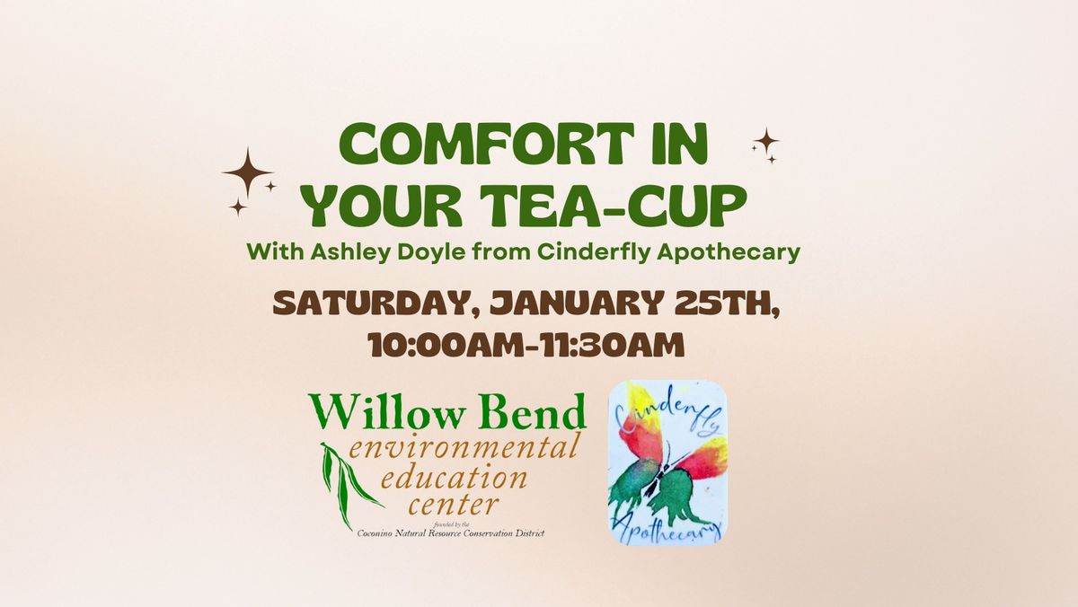 Adult Workshop: Comfort in Your Tea-Cup