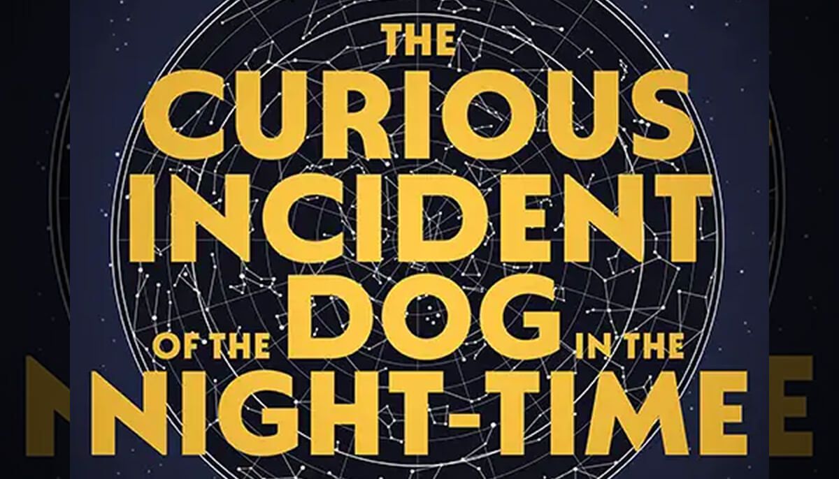 The Curious Incident of the Dog in the Night-Time