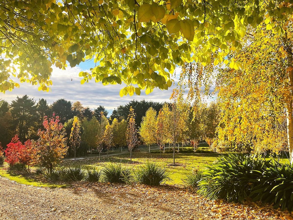 Open Gardens Victoria - The Rowe Garden