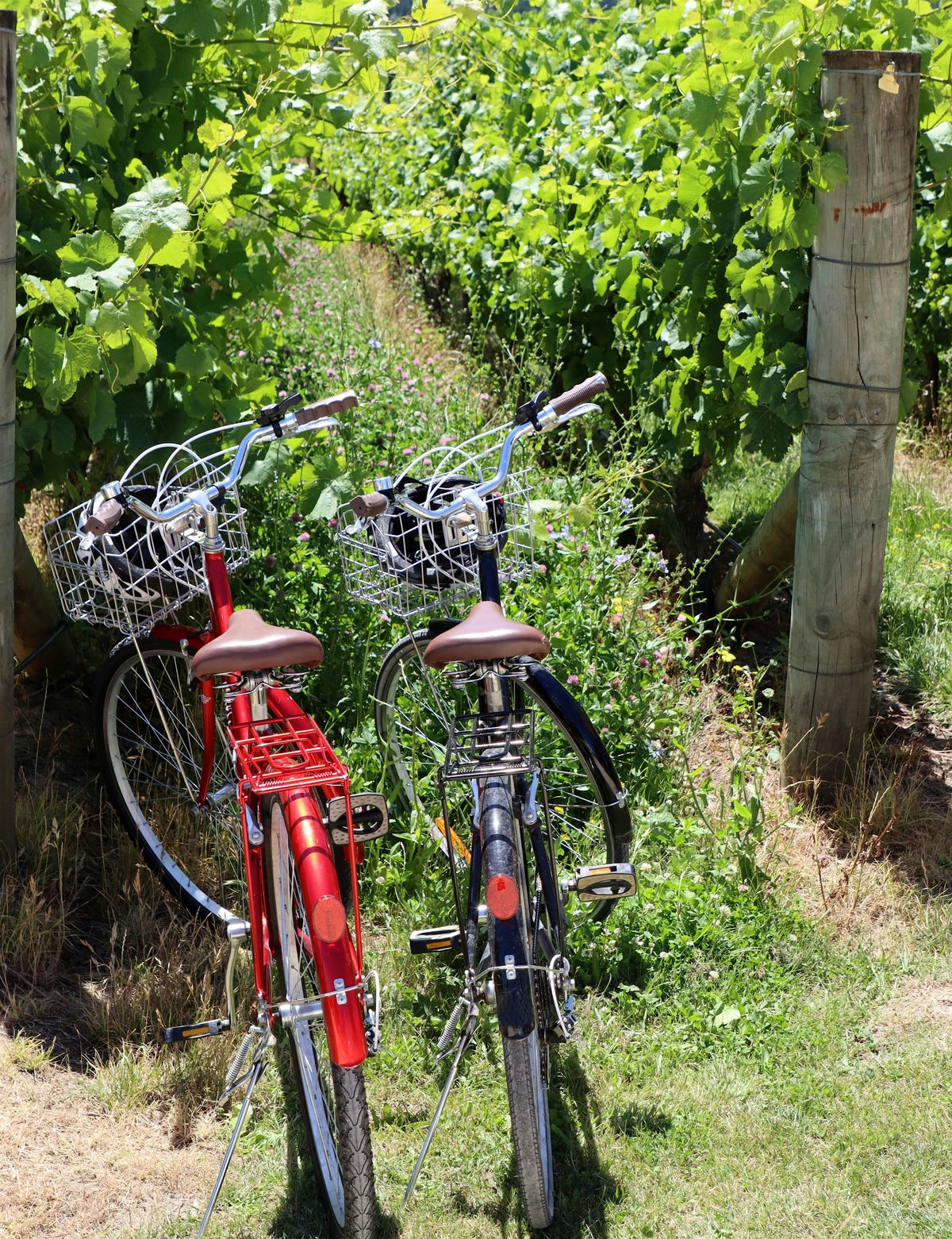 Tour de Los Ranchos 25