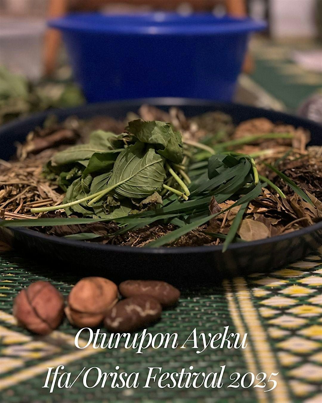 Oturupon Ayeku Odun Ifa\/Orisa Festival 2025