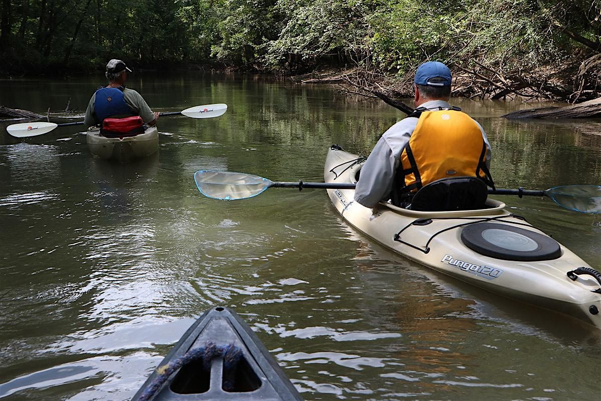 Estero River Histories & Mysteries Kayak Tour