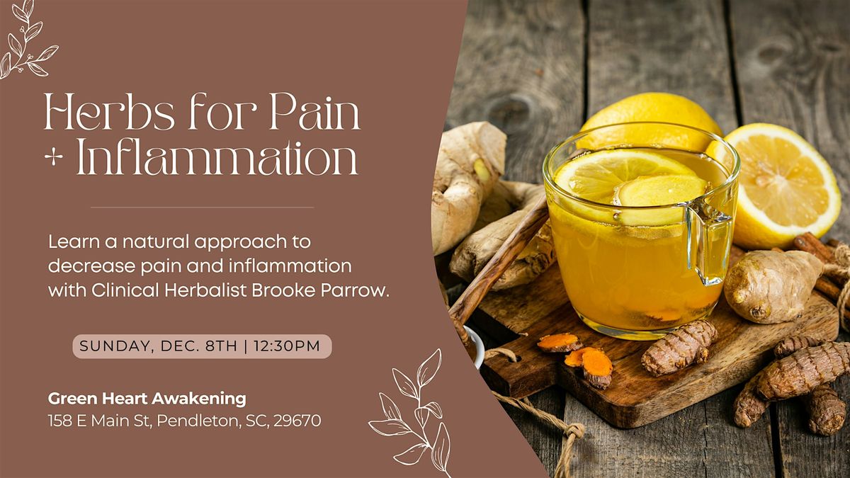 Herbs for Pain + Inflammation