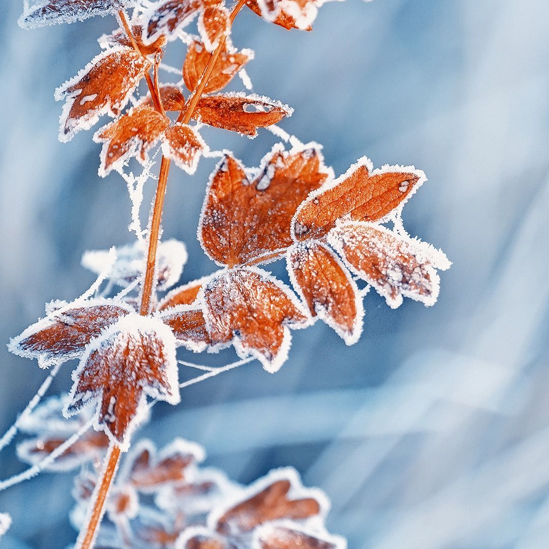 Sauna-Auszeit "Winteraktivabend"