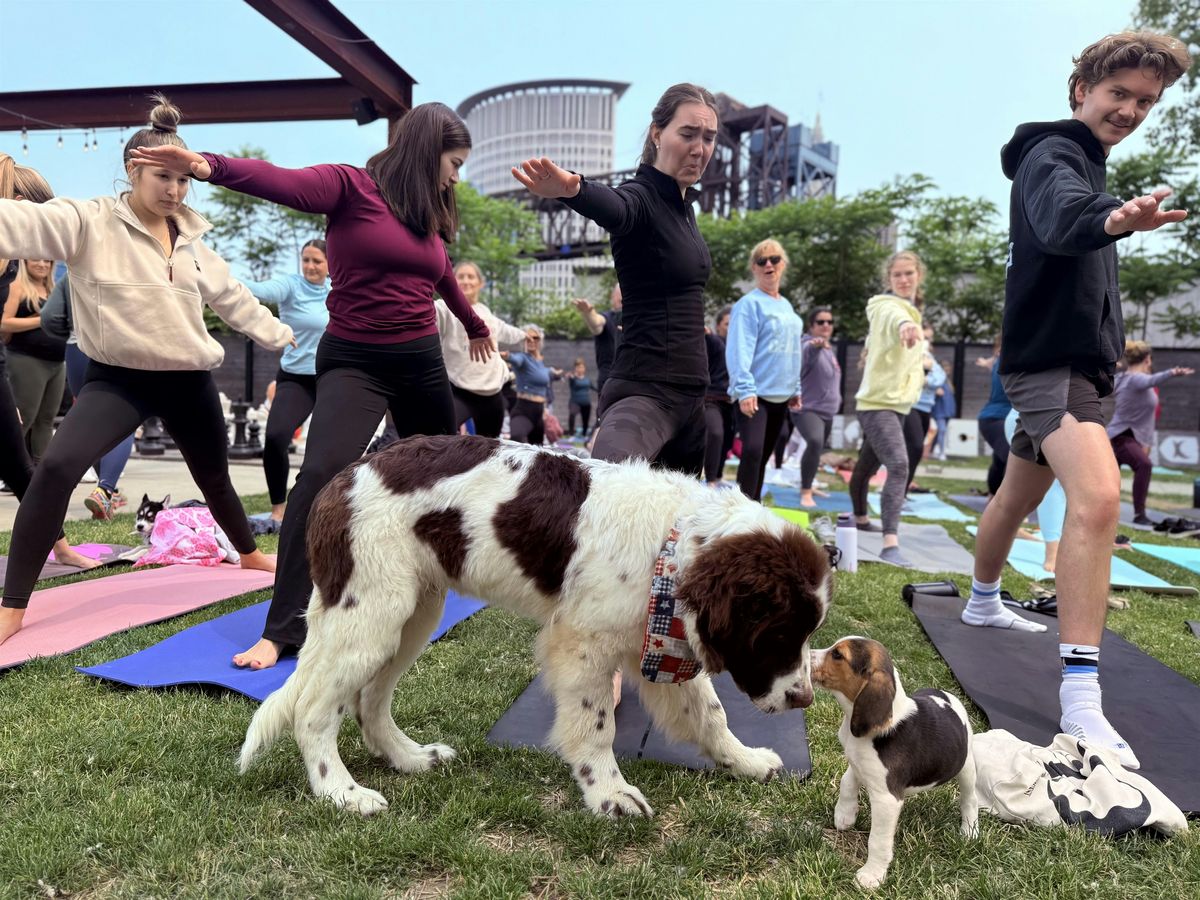 Brewdog Cleveland Puppy Yoga