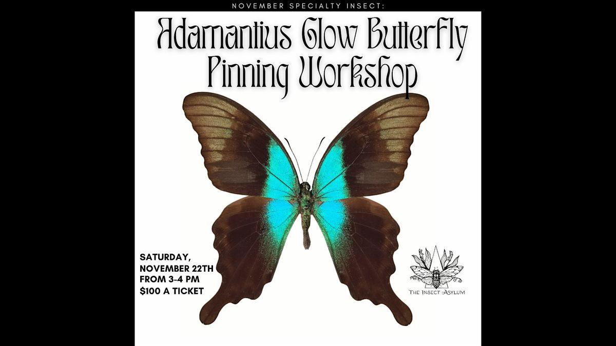 Adamantius Glow Butterfly Pinning Workshop