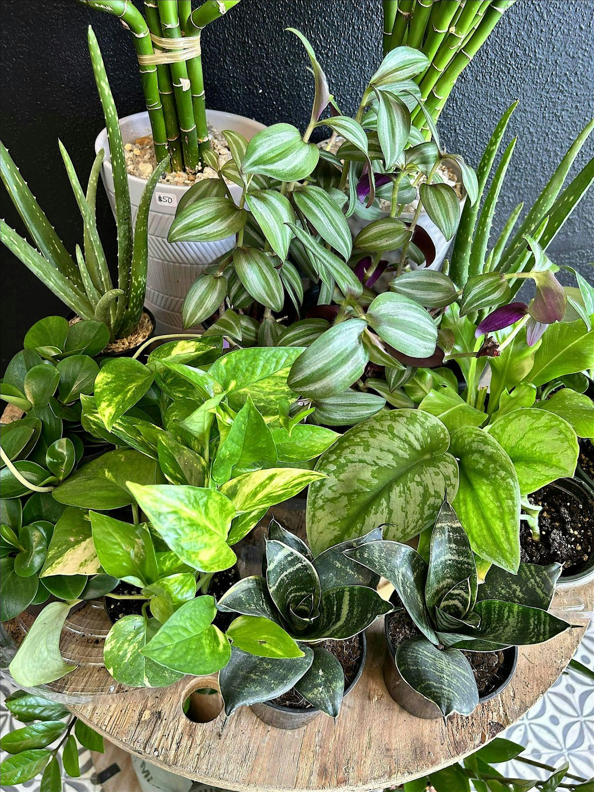 $30 - "Spook-tober" Plant & Sip Mixer at Westside Market Toco Hill