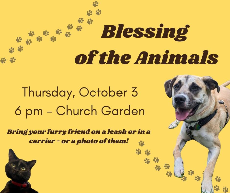 Blessing of the Animals