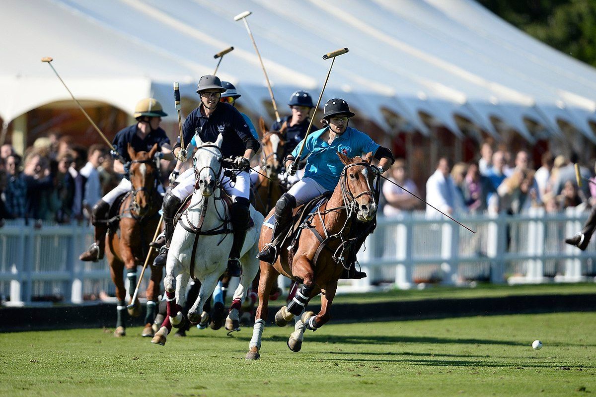 Palm Beach Polo