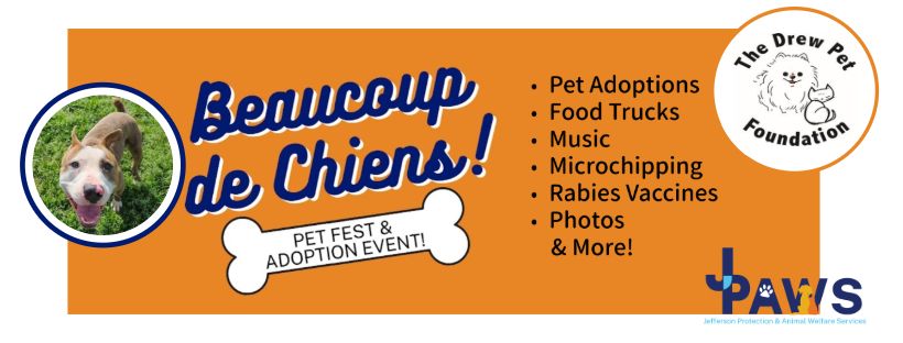 Beaucoup de Chiens Pet Fest