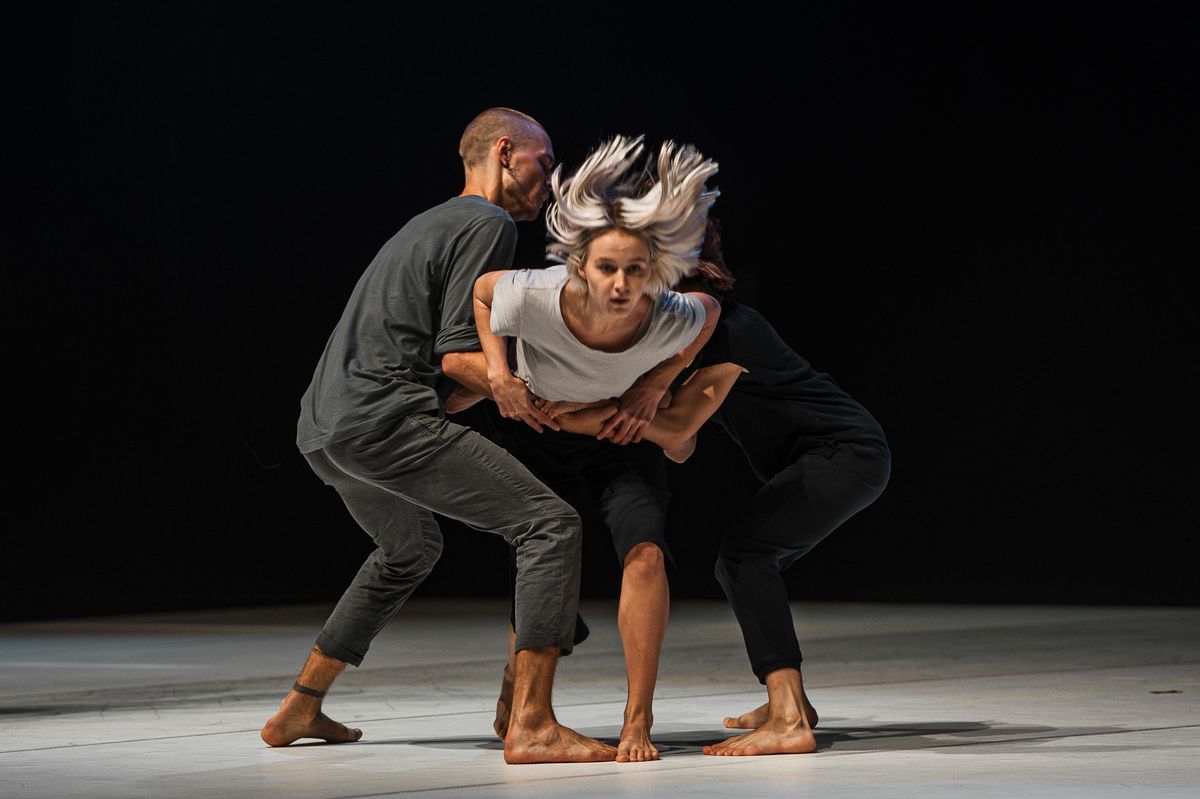 Spectacle : Eye of the Storm | Rachid Ouramdane & Seiko Dance Company