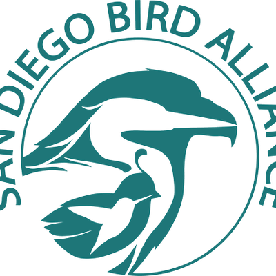 San Diego Bird Alliance