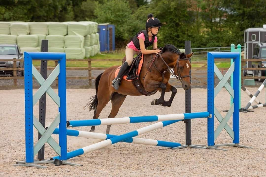 *FULL* Pole work and Show jumping Clinic at Pound green