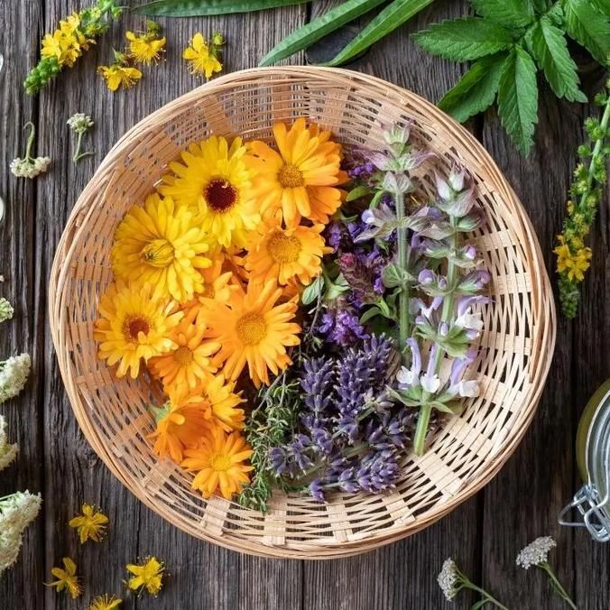 Flower Medicine & Symbolism