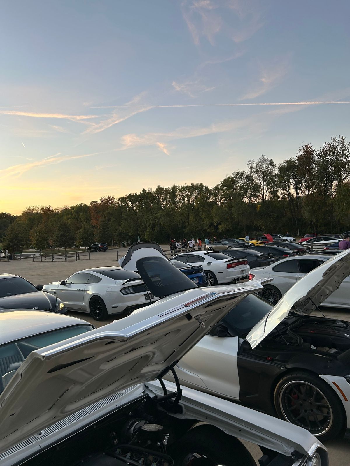 Mahomet car meet 