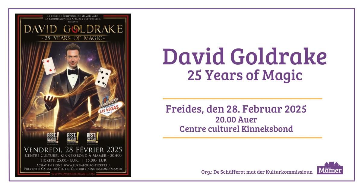 David Goldrake - 25 Years of Magic