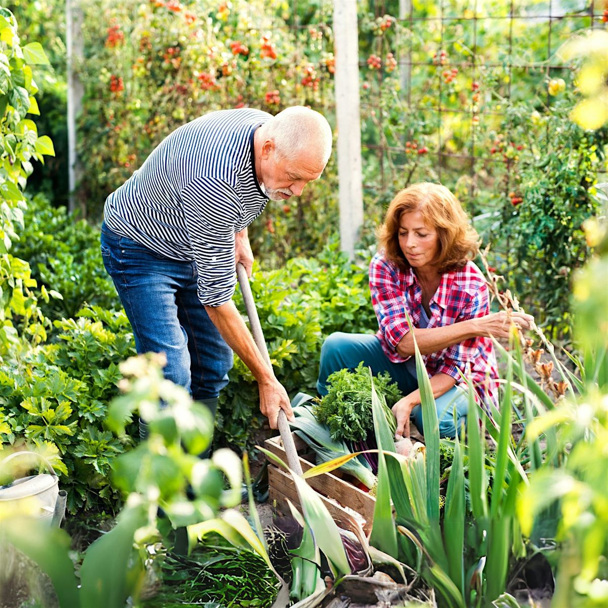 Gardeners' Hour: September