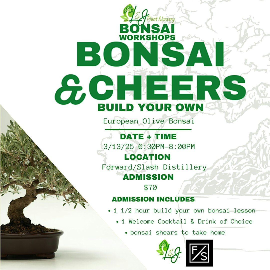 Bonsai & Cheers - Forward\/Slash Distillery - L&J Nursery - European Olive