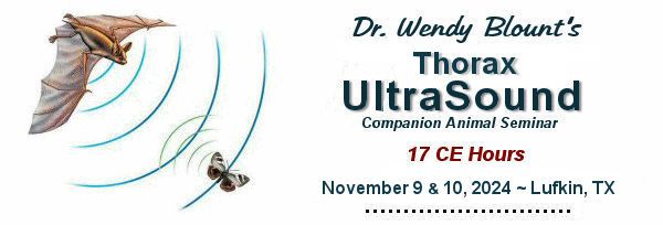 Practical Thoracic Ultraso0und