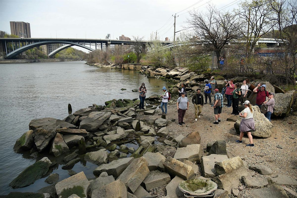 Harlem River Photo Walk