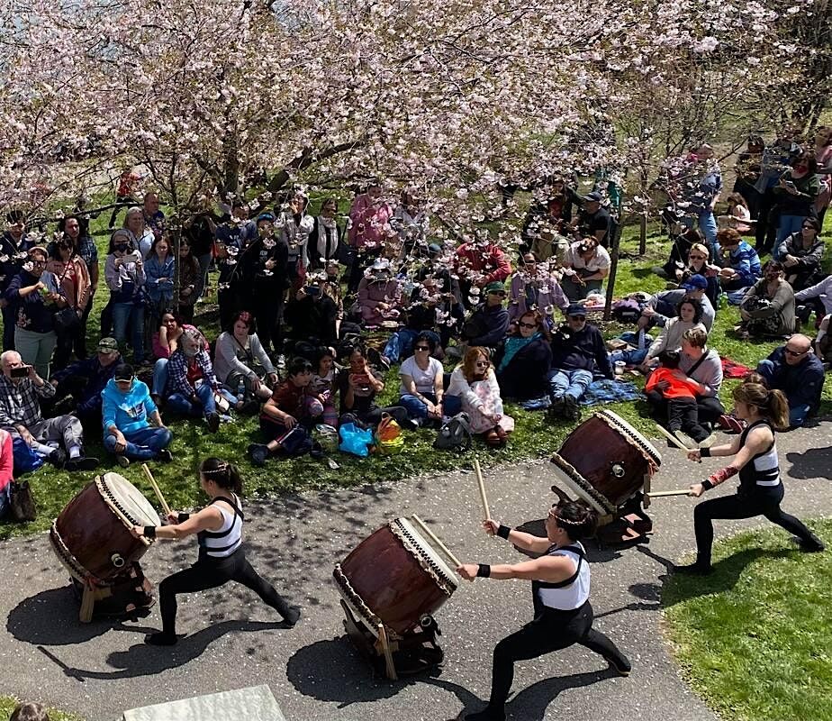 First Sunday Photo Walk: Buffalo Cherry Blossom Festival