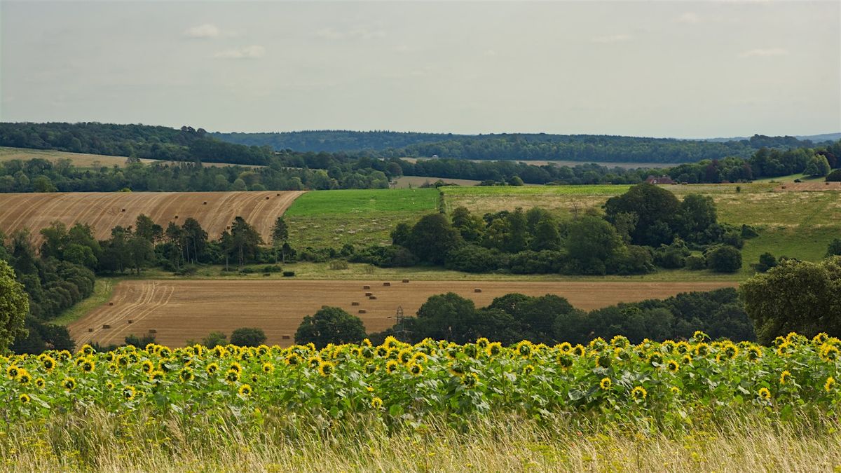 West Sussex Autumn Weekend Tour (from Birmingham)
