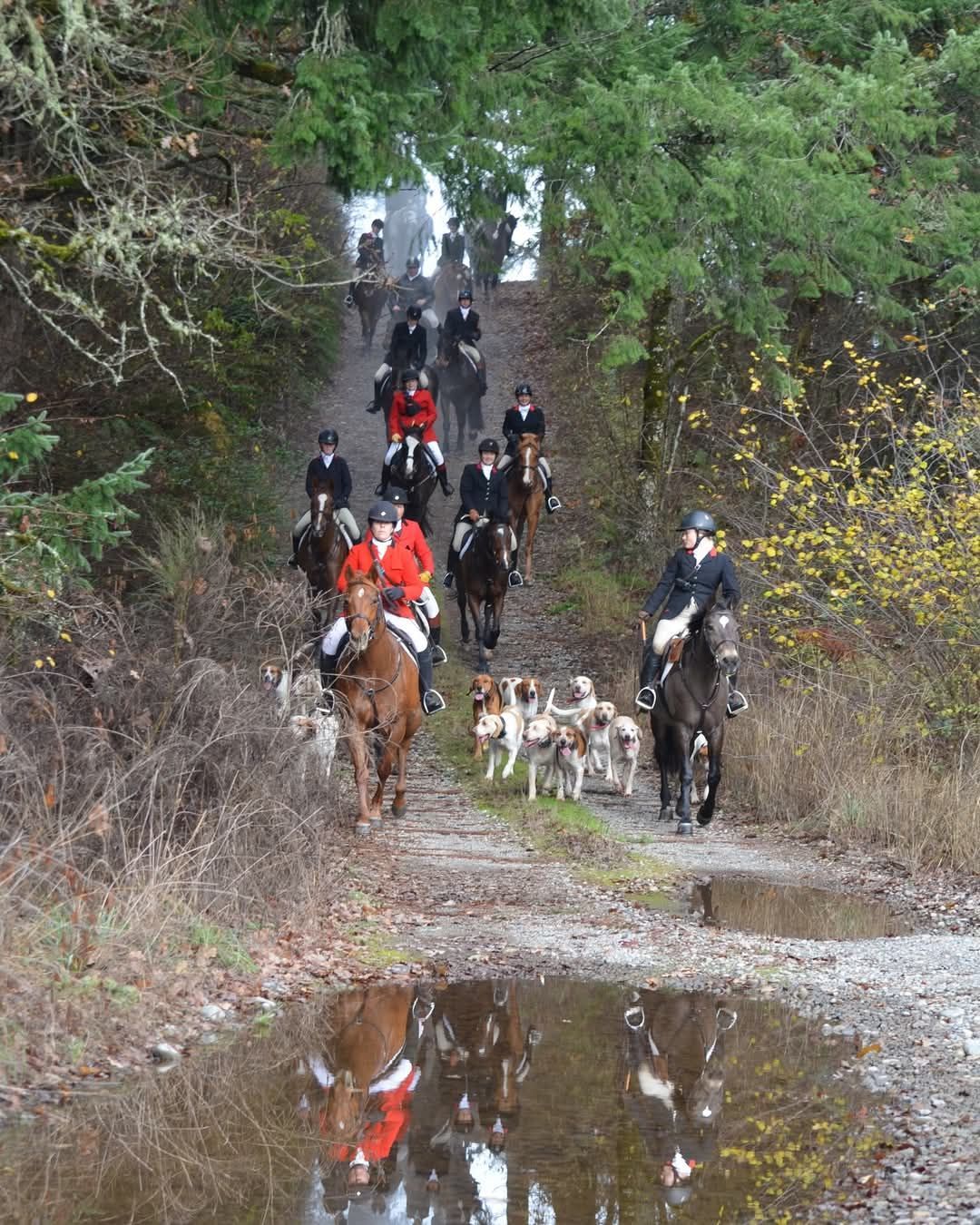 Annual Guest Hunt at Woodbrook Hunt Club 