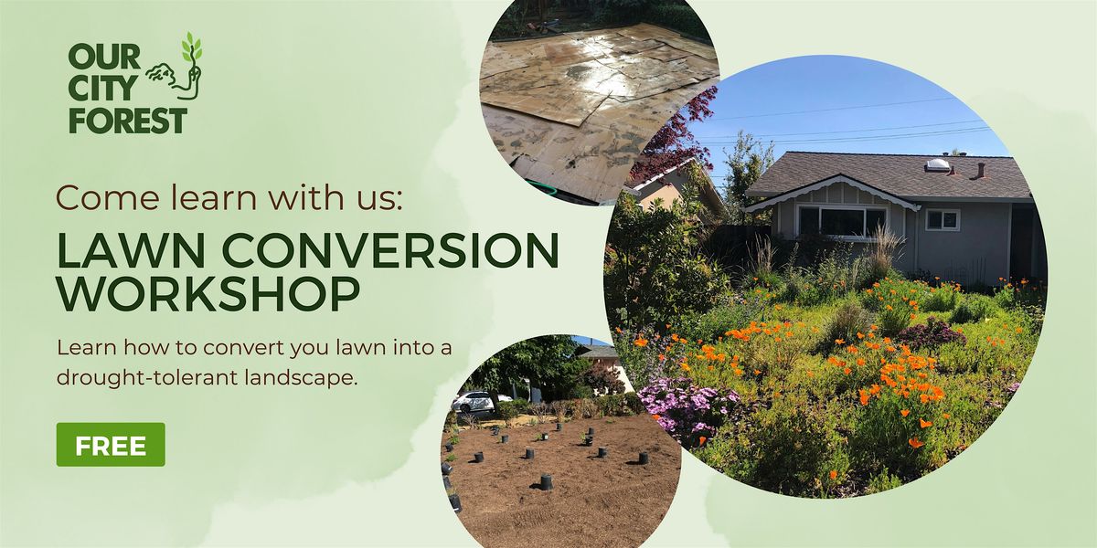 DIY Lawn Conversion Workshop