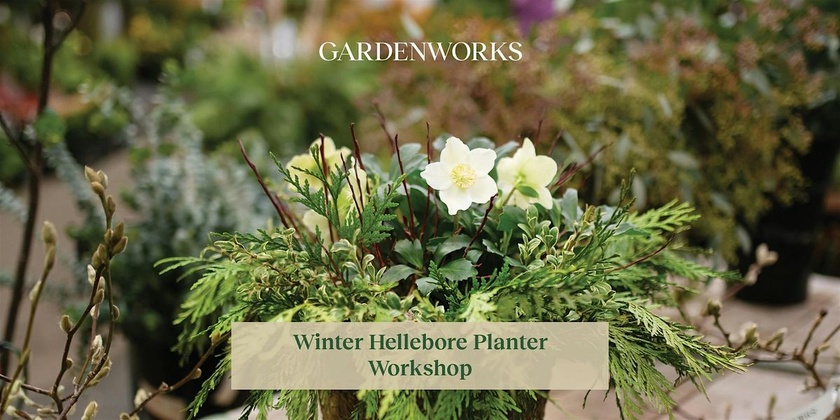 Winter Hellebore Planter Workshop at GARDENWORKS Mandeville