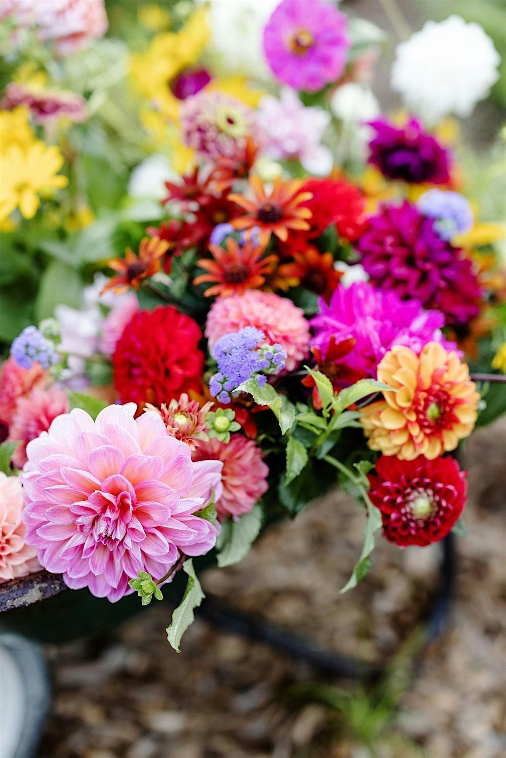 Perfume-Making+ U-Pick Flower Arranging Workshop  on 10\/2\/2025