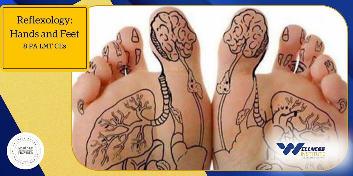 Reflexology Hands\/Feet