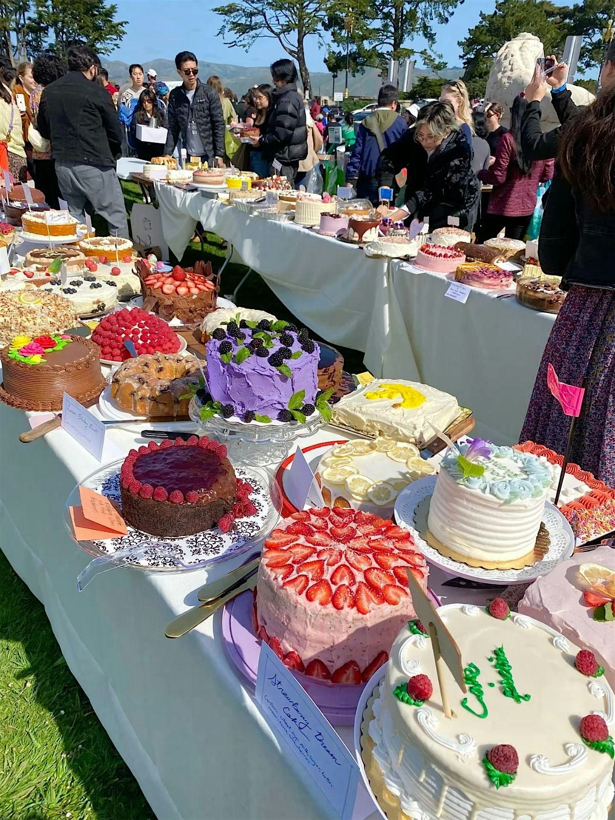 Chico Cake picnic