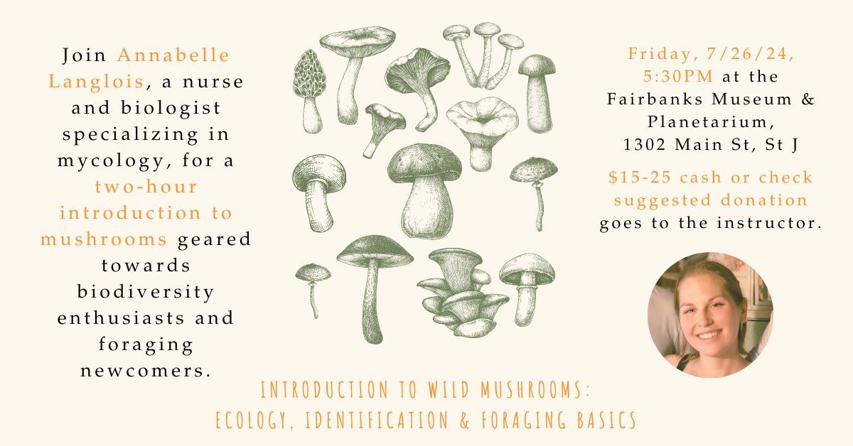 Introduction to Wild Mushrooms: Ecology, Identification & Foraging Basics with Annabelle Langlois