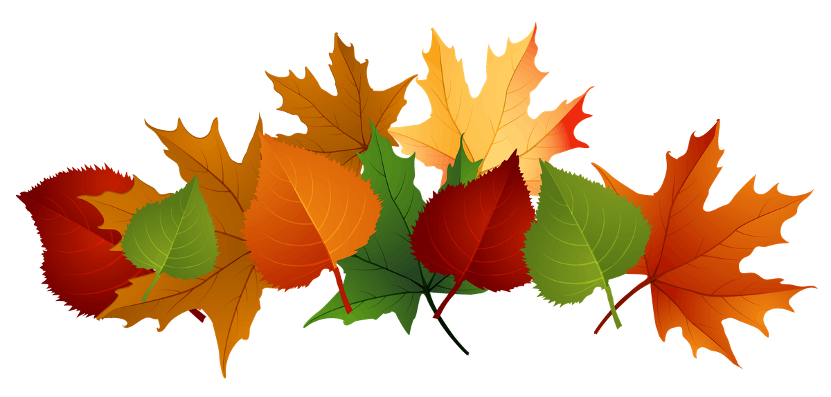 Fall Story Time and Craft