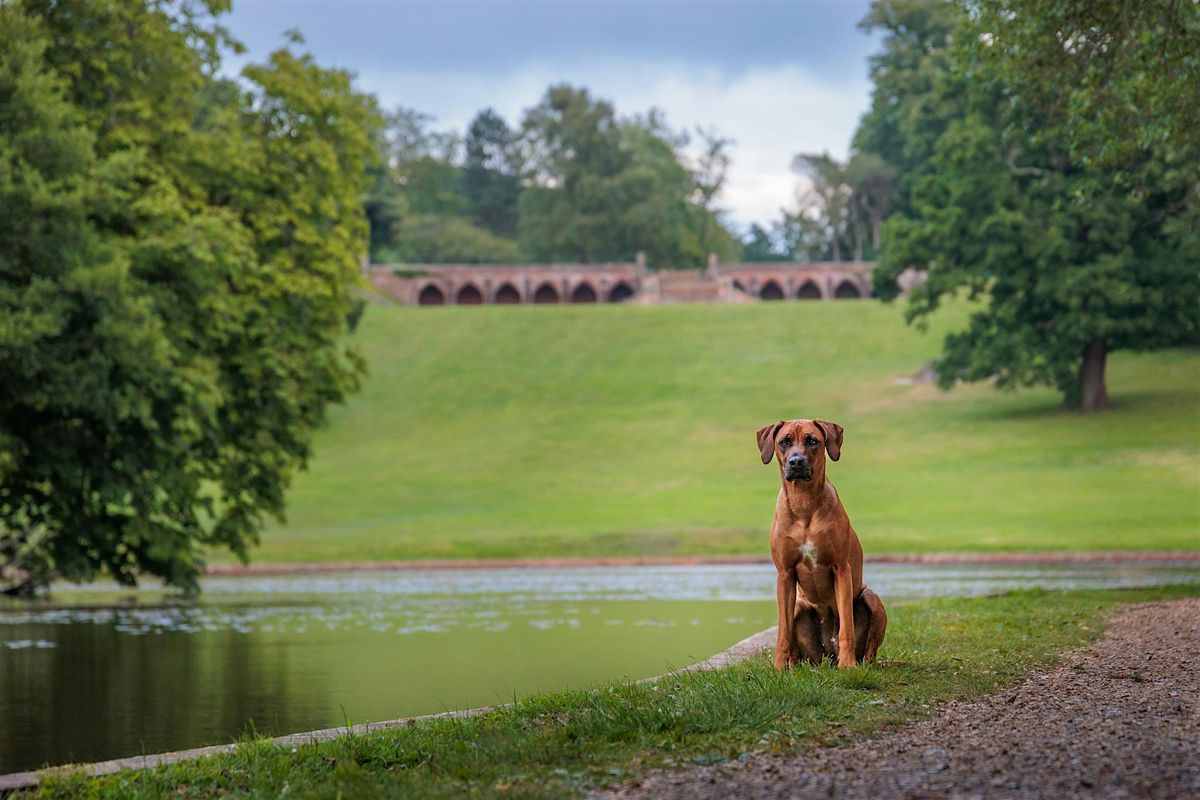 April Photo Walk at Staunton Country Park