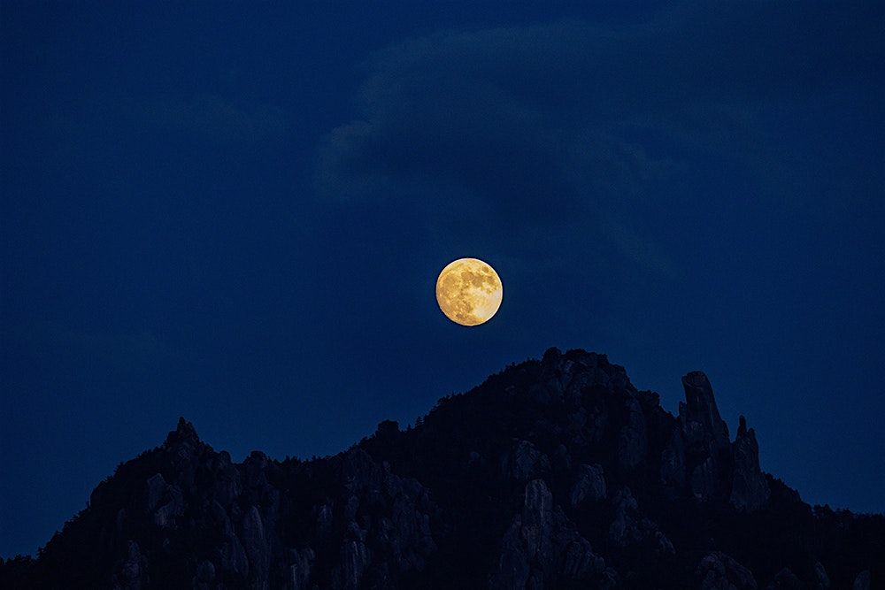 Full Moon Hike - Phoenix Mountain Preserve