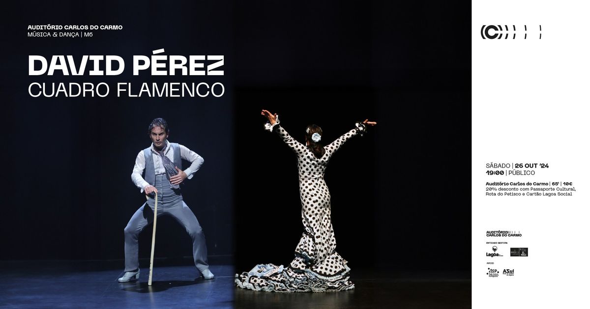 Espet\u00e1culo de Flamenco | DAVID P\u00c9REZ: Cuadro Flamenco