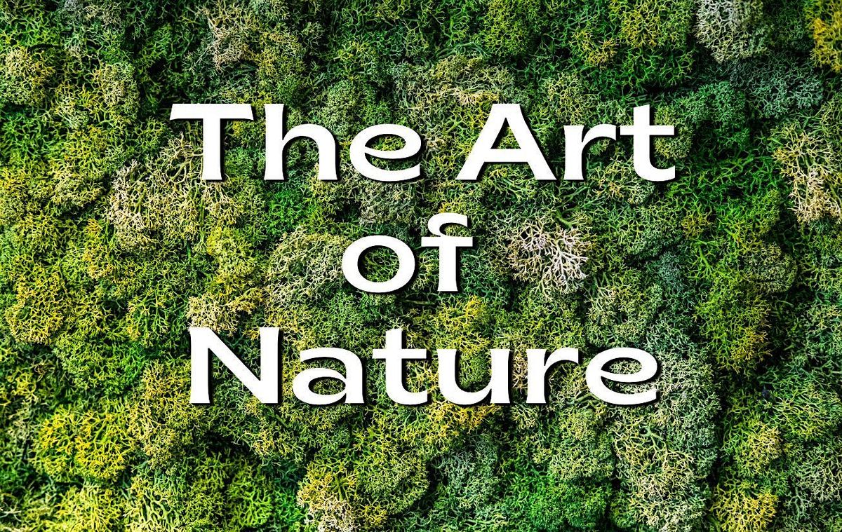 The Art of Nature Summer Camp