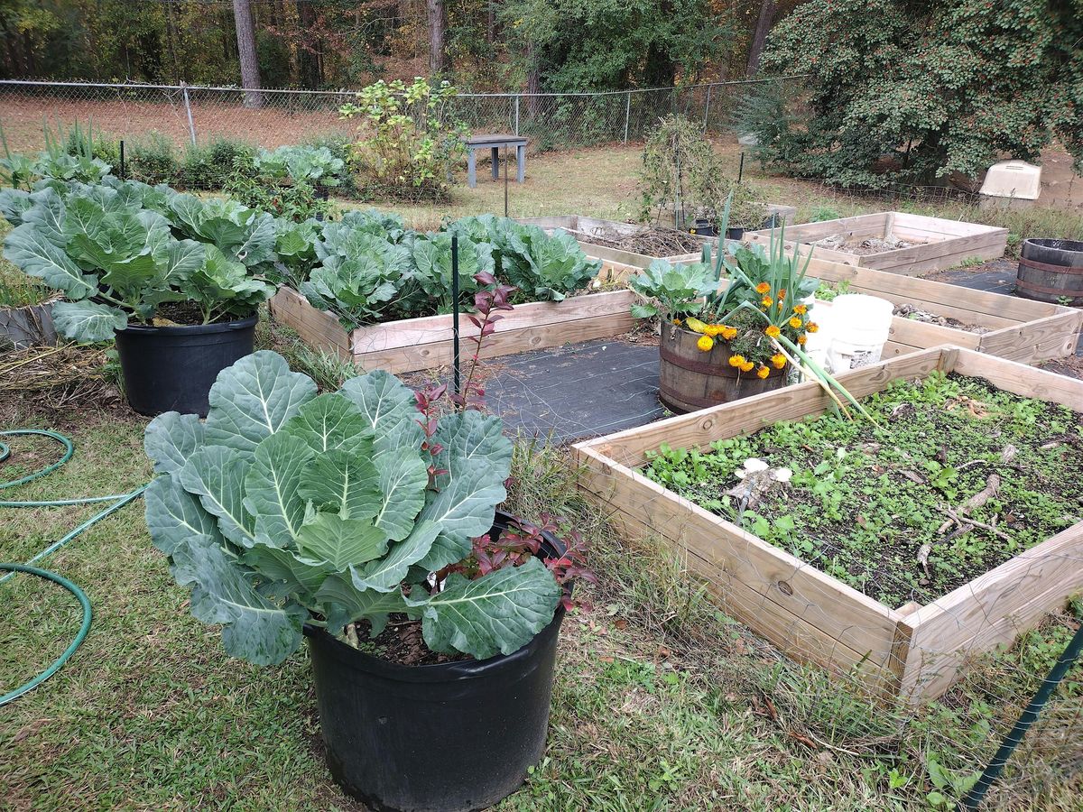 Classes for Classmates: Hands-On Gardening Workshop