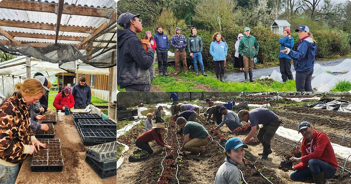 Seasonal Home Farmer Workshop Series