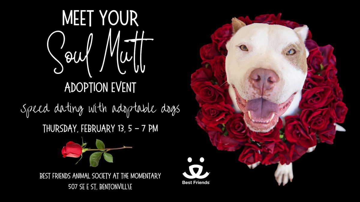 Meet your Soul Mutt:  Speed Dating with Dogs at the Momentary