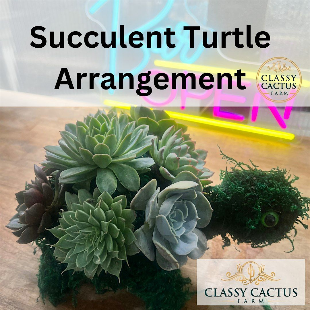 Succulent Turtle Workshop